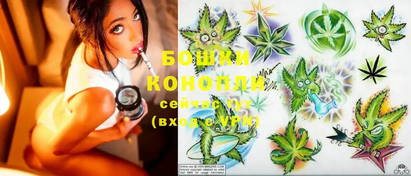 мориарти официальный сайт  как найти закладки  Нарьян-Мар  Канабис SATIVA & INDICA 